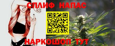 прущие грибы Балашиха