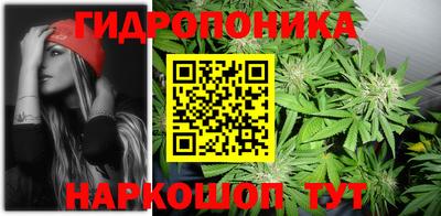прущие грибы Балашиха