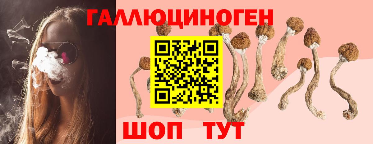 Берёзовский  Псилоцибиновые грибы прущие грибы  Вход с VPN 